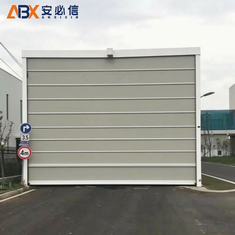 重庆背带门